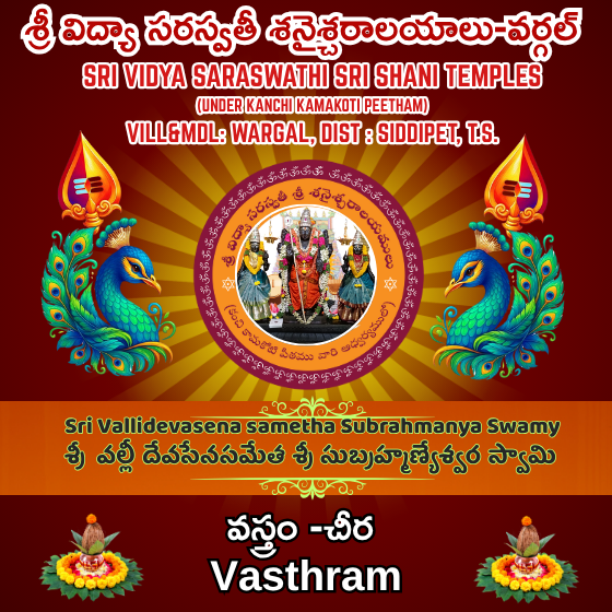 Vastram/Saree-VDS